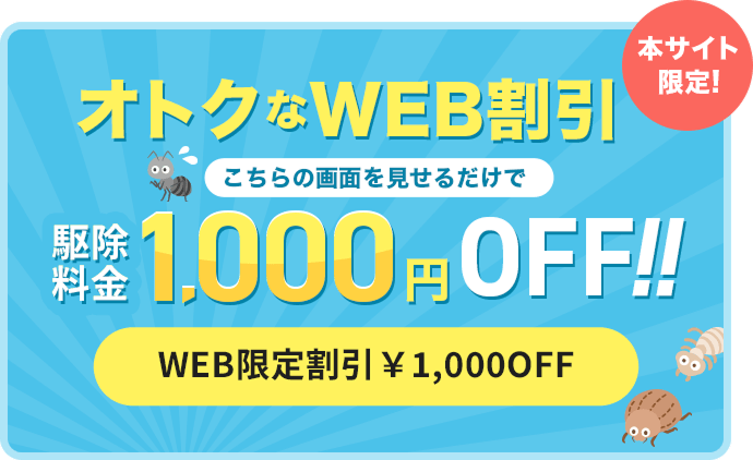 オトクなWEB割引 本サイト限定 こちらの画面を見せるだけで駆除料金1,000円OFF!!