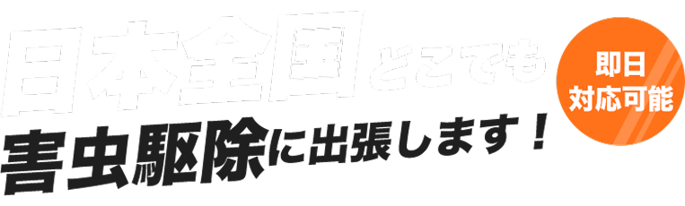 日本全国どこでも害虫駆除に出張します!※離島を含む一部地域を除く 即日対応可能