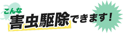 こんな害虫を駆除できます!